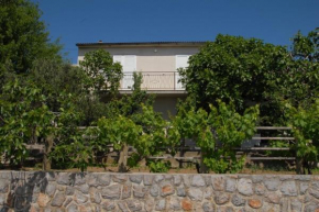 Apartments Ana